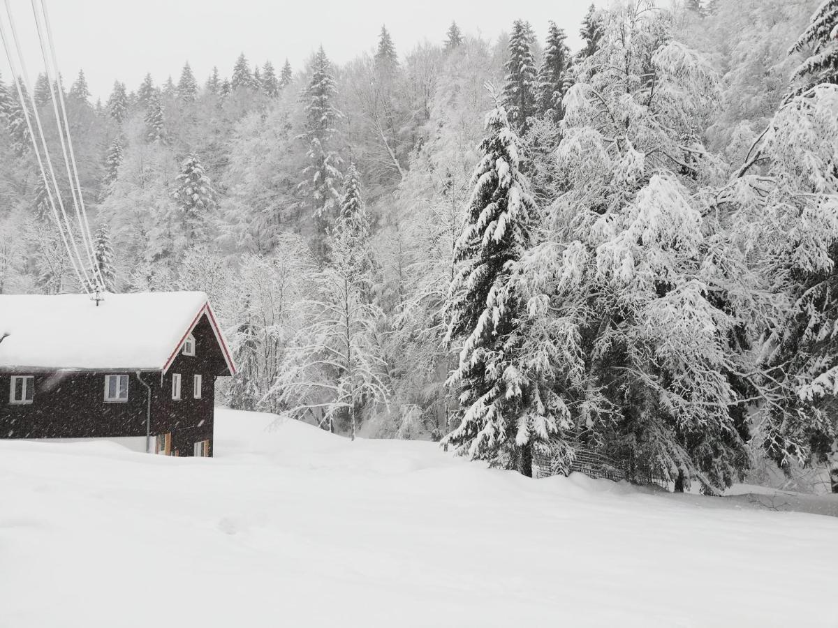 Appartamento Saegemuehle Eschachthal Buchenberg  Esterno foto