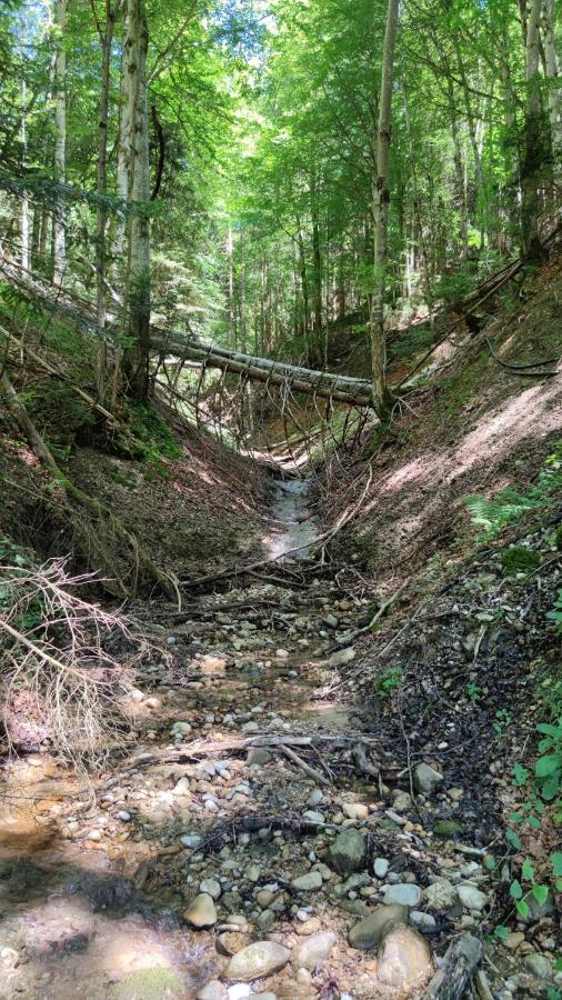 Appartamento Saegemuehle Eschachthal Buchenberg  Esterno foto